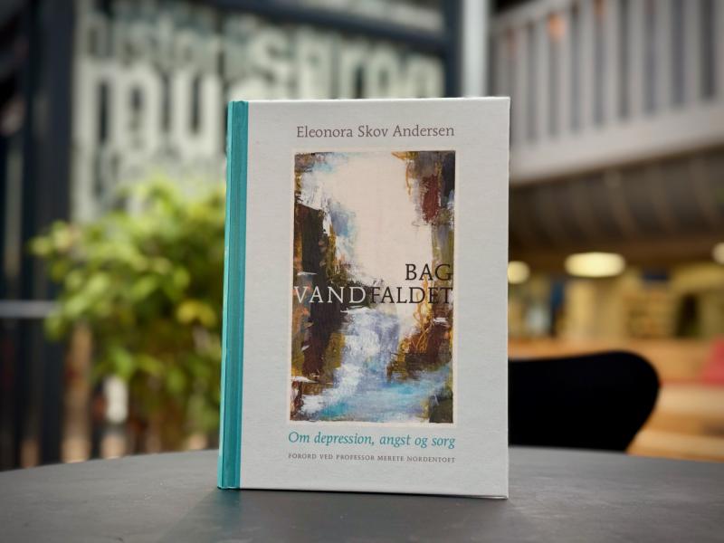 Bogen "Bag vandfaldet"